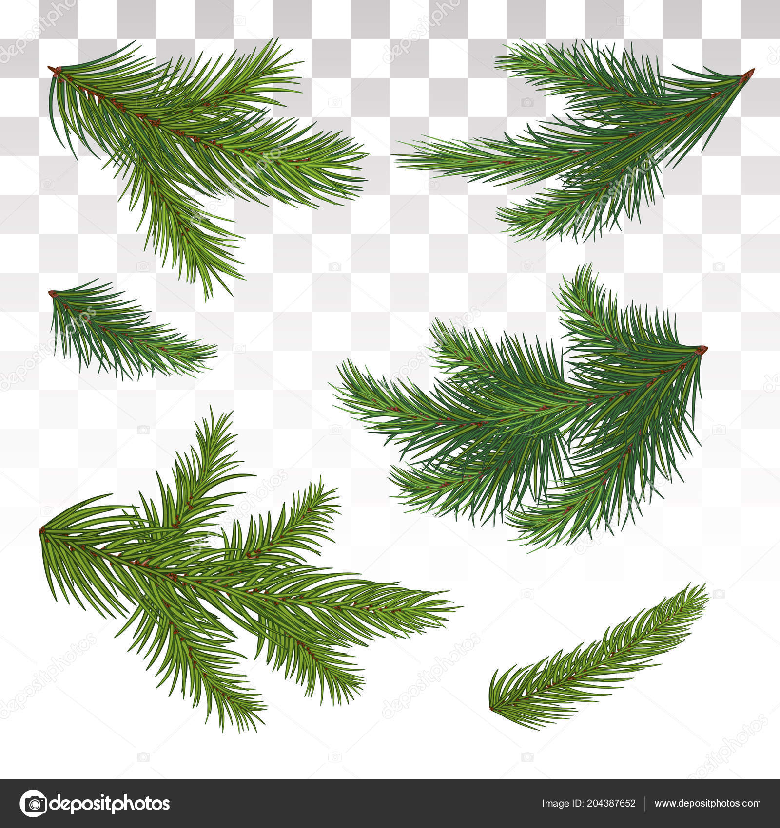 Large Set Different Green Pine Branches Isolated Christmas Decor Green  Stock Vector by ©fosonya 204387652